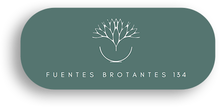 2025 03 10 13h28 07 copia